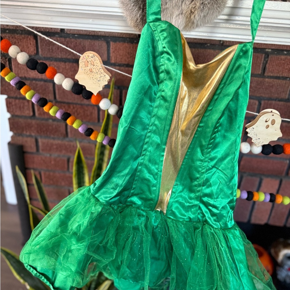 Women’s halter top ninja turtle costume